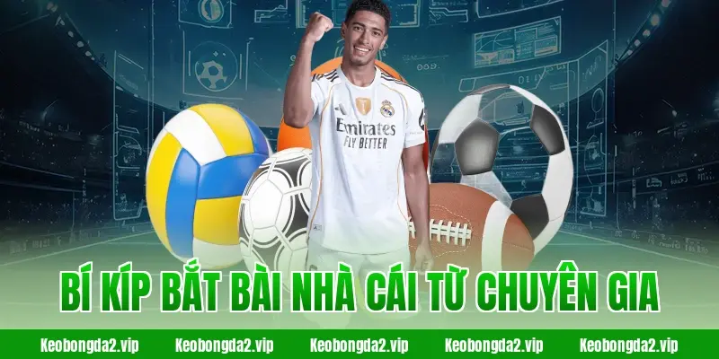 Bí kíp bắt bài nhà cái từ chuyên gia