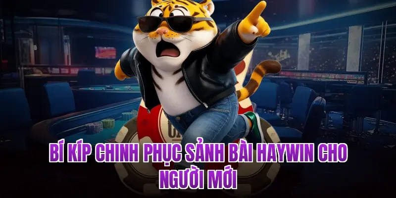Bí kíp chinh phục sảnh bài Haywin cho người mới