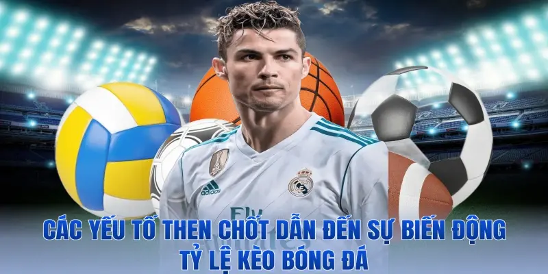 Các yếu tố then chốt dẫn đến sự biến động tỷ lệ kèo bóng đá