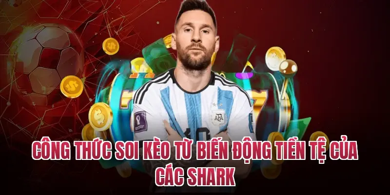 Công thức soi kèo từ biến động tiền tệ của các Shark