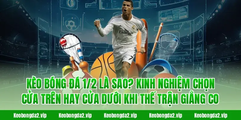 Kèo Bóng Đá 1/2 Là Sao? Kinh nghiệm chọn cửa trên hay cửa dưới khi thế trận giằng co