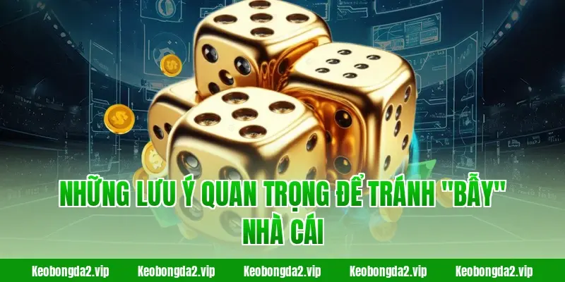 Những lưu ý quan trọng để tránh "bẫy" nhà cái