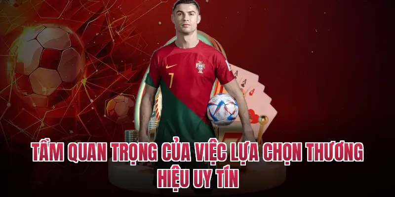 Tầm quan trọng của việc lựa chọn thương hiệu uy tín
