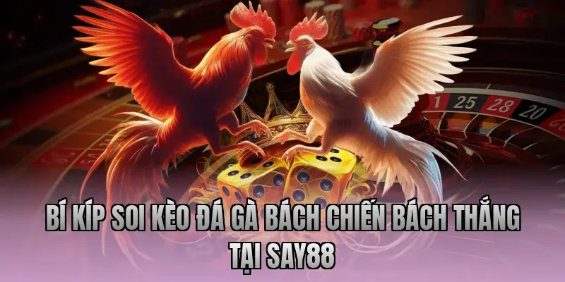 Bí kíp soi kèo đá gà bách chiến bách thắng tại Say88