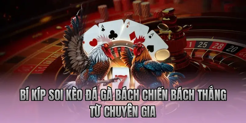 Bí kíp soi kèo đá gà bách chiến bách thắng từ chuyên gia