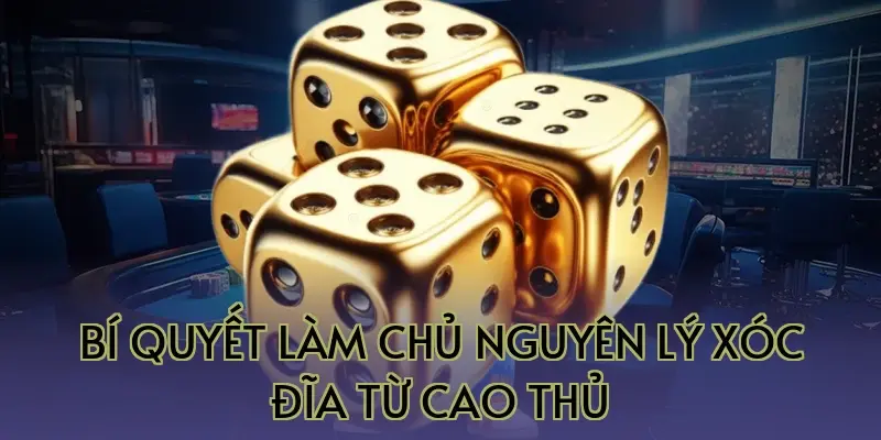 Bí quyết làm chủ nguyên lý xóc đĩa từ cao thủ