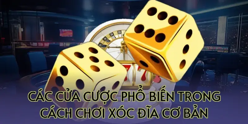 Các cửa cược phổ biến trong cách chơi xóc đĩa cơ bản