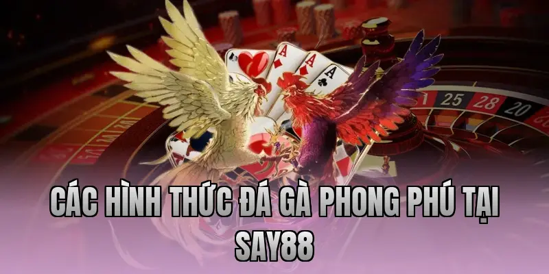 Các hình thức đá gà phong phú tại Say88