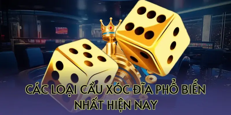 Các Loại Cầu Xóc Đĩa Phổ Biến Nhất Hiện Nay