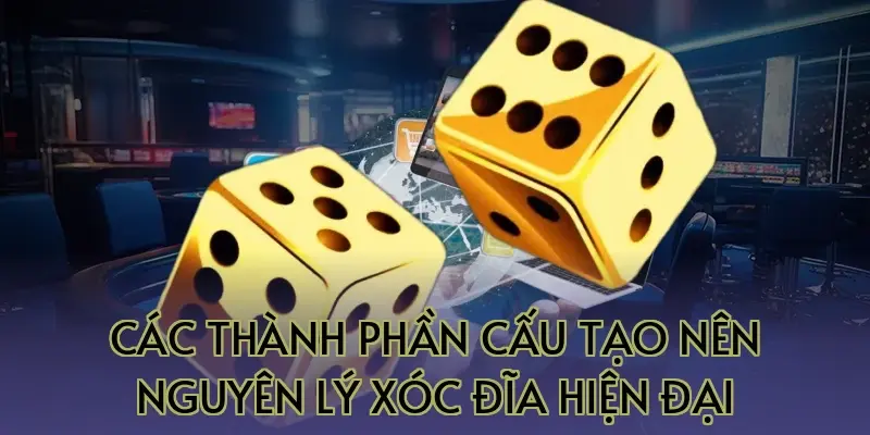 Các thành phần cấu tạo nên nguyên lý xóc đĩa hiện đại