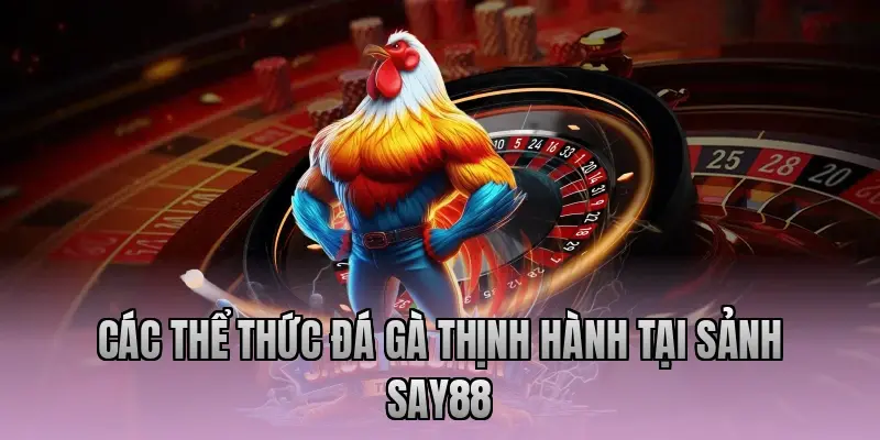 Các thể thức đá gà thịnh hành tại sảnh Say88