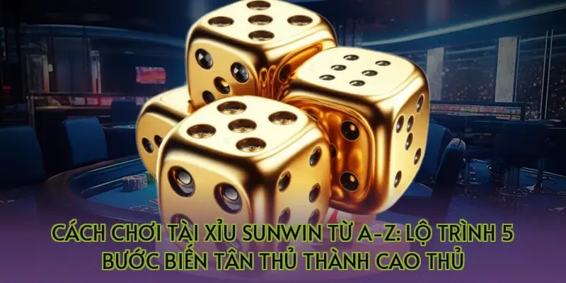 Cách chơi tài xỉu Sunwin từ A-Z: Lộ trình 5 bước biến tân thủ thành cao thủ
