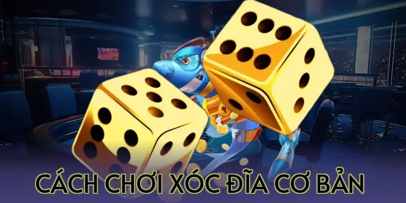 Cách Chơi Xóc Đĩa Cơ Bản 