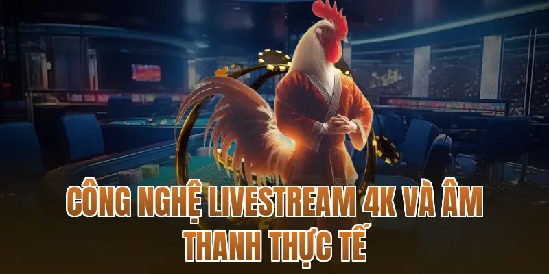 Công nghệ Livestream 4K và âm thanh thực tế
