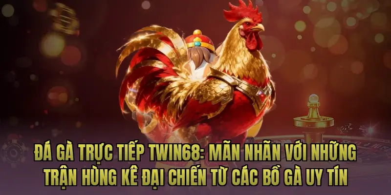 Đá gà trực tiếp Twin68: Mãn nhãn với những trận hùng kê đại chiến từ các bồ gà uy tín