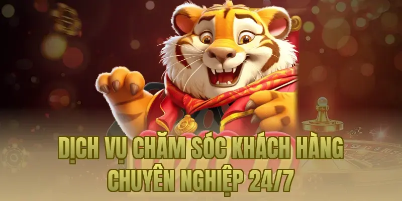 Dịch vụ chăm sóc khách hàng chuyên nghiệp 24/7