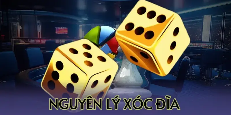 Nguyên Lý Xóc Đĩa 