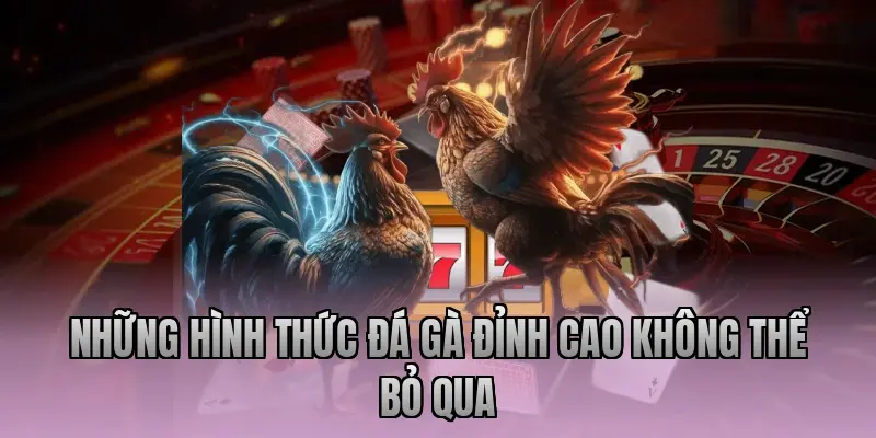 Những hình thức đá gà đỉnh cao không thể bỏ qua