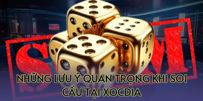 Những lưu ý quan trọng khi soi cầu tại Xocdia