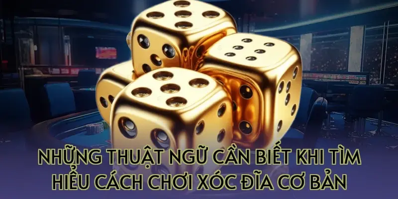 Những thuật ngữ cần biết khi tìm hiểu cách chơi xóc đĩa cơ bản