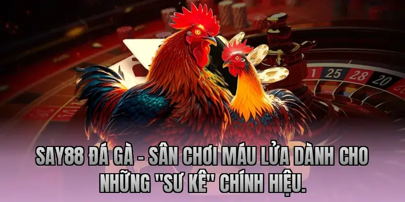 Say88 Đá Gà – Sân chơi máu lửa dành cho những "sư kê" chính hiệu.