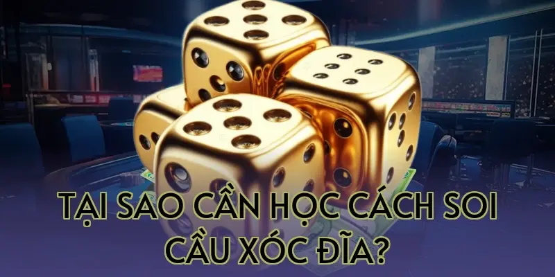 Tại sao cần học cách soi cầu xóc đĩa?