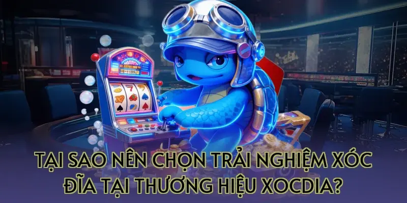 Tại sao nên chọn trải nghiệm xóc đĩa tại thương hiệu Xocdia?