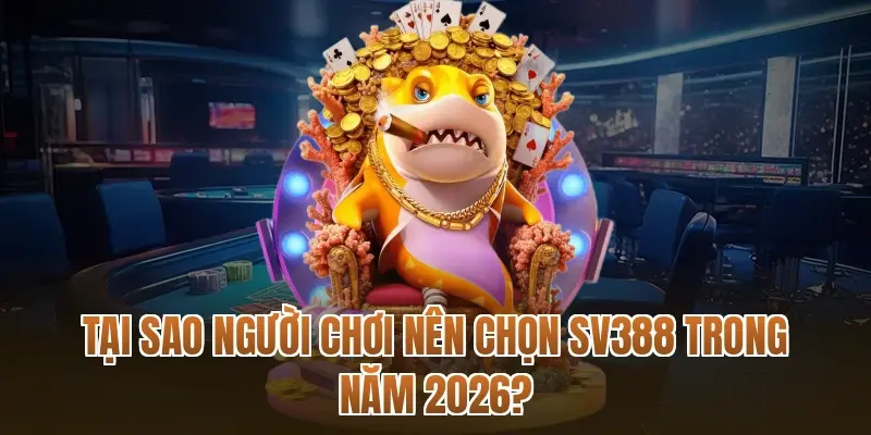 Tại sao người chơi nên chọn SV388 trong năm 2026?