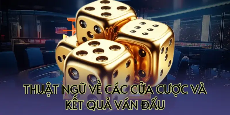 Thuật ngữ về các cửa cược và kết quả ván đấu